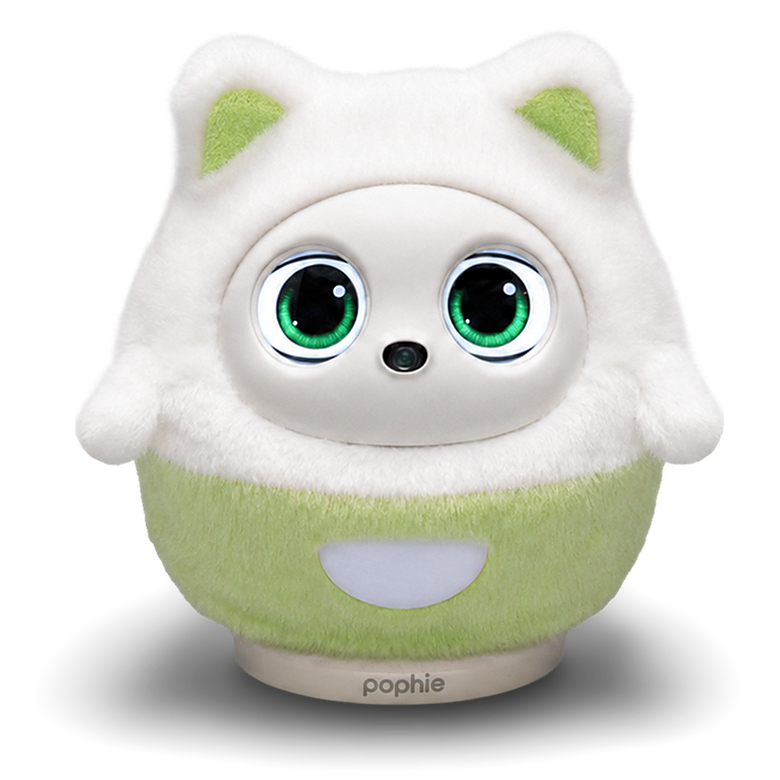 Sage Plush Outfit
